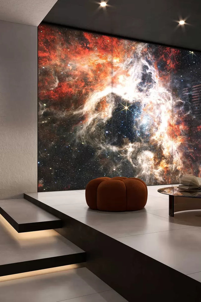 TARANTULA NEBULA